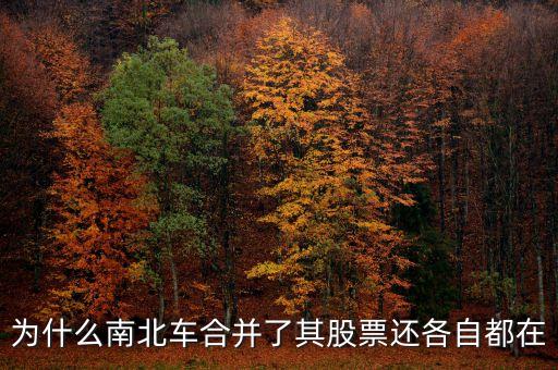 中國南北車為什么合并，為什么南北車合并了其股票還各自都在