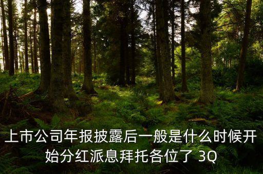 上市公司年報(bào)披露后一般是什么時(shí)候開始分紅派息拜托各位了 3Q