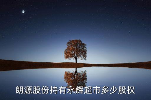 郎源股份是什么公司，朗源股份持有永輝超市多少股權(quán)