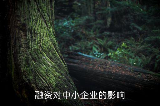 股票融資對小微企業(yè)有什么影響，私募股權(quán)融資對中小企業(yè)有什么影響