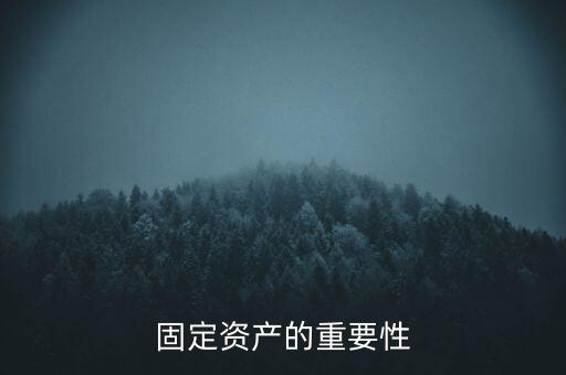 什么是重資產(chǎn)公司，固定資產(chǎn)的重要性
