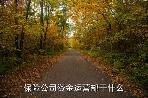 保險(xiǎn)運(yùn)營(yíng)部主要做什么，保險(xiǎn)公司運(yùn)營(yíng)部門(mén)