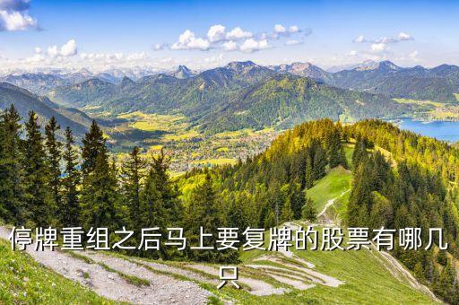 002018什么時(shí)候復(fù)牌，停牌重組之后馬上要復(fù)牌的股票有哪幾只
