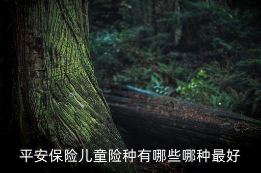 平安保險(xiǎn)兒童險(xiǎn)種有哪些哪種最好