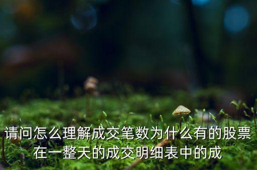 請(qǐng)問怎么理解成交筆數(shù)為什么有的股票在一整天的成交明細(xì)表中的成