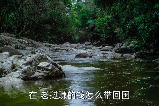 在 老撾賺的錢(qián)怎么帶回國(guó)