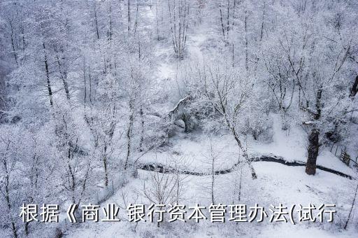根據《商業(yè) 銀行資本管理辦法(試行