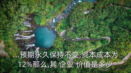 ...預(yù)期永久保持不變,資本成本為12%那么,其 企業(yè) 價值是多少