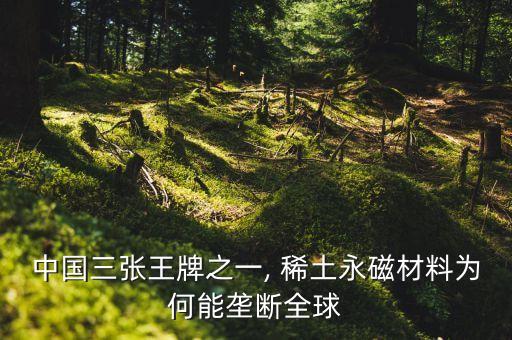 中國(guó)三張王牌之一, 稀土永磁材料為何能壟斷全球
