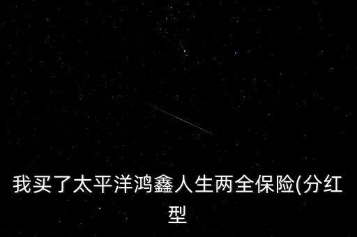 諾安鴻鑫保本基金