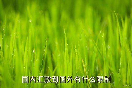 國(guó)內(nèi)匯款到國(guó)外有什么限制