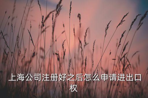 上海外匯申報(bào),外匯申報(bào)一般幾個(gè)工作日