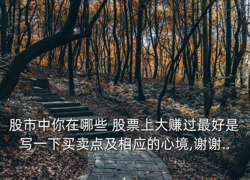 股市中你在哪些 股票上大賺過(guò)最好是寫(xiě)一下買(mǎi)賣(mài)點(diǎn)及相應(yīng)的心境,謝謝...