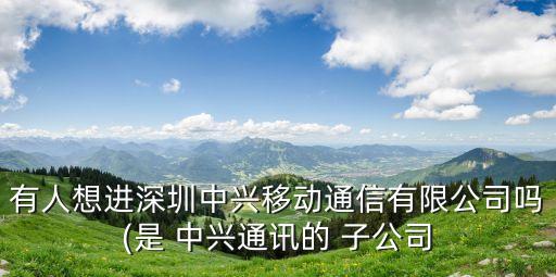 有人想進(jìn)深圳中興移動通信有限公司嗎(是 中興通訊的 子公司