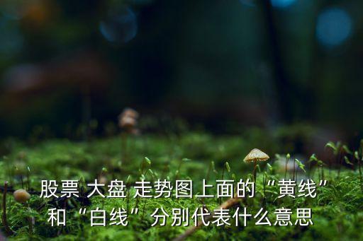 大盤股票走勢圖,股票大盤走勢圖下載哪個軟件