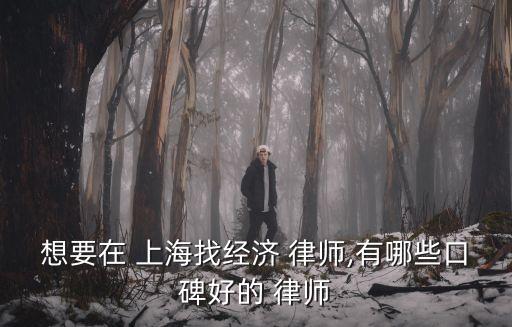 上海免費律師晨光