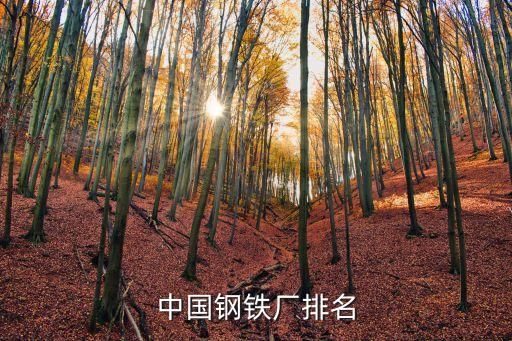 中國(guó)鋼鐵廠排名