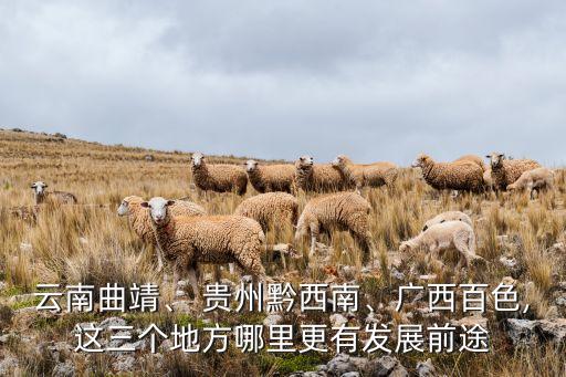 云南曲靖、 貴州黔西南、廣西百色,這三個(gè)地方哪里更有發(fā)展前途
