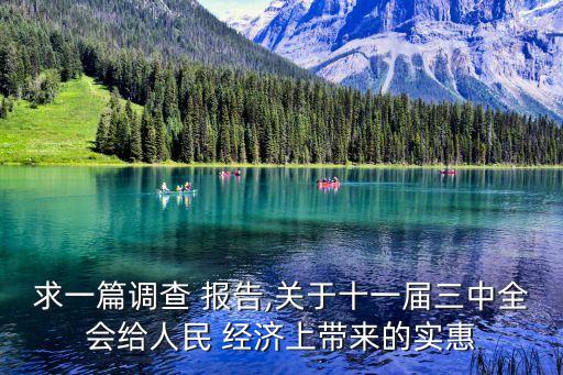 中國(guó)生活經(jīng)濟(jì)大調(diào)查報(bào)告,低碳經(jīng)濟(jì)與生活的調(diào)查報(bào)告