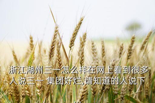  浙江湖州三一怎么樣在網(wǎng)上看到很多人說(shuō)三一 集團(tuán)好爛,請(qǐng)知道的人說(shuō)下...