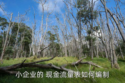吸收投資者投資收到的現(xiàn)金