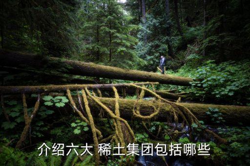 美國稀土投資,東方稀土可以投資嗎