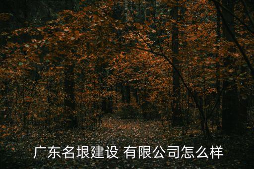 廣東中拓拆建工程有限公司