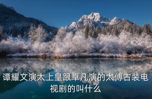 譚耀文演太上皇跟卓凡演的太傅古裝電視劇的叫什么