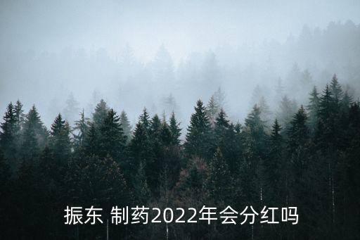  振東 制藥2022年會分紅嗎