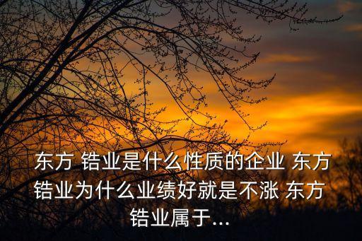  東方 鋯業(yè)是什么性質的企業(yè) 東方 鋯業(yè)為什么業(yè)績好就是不漲 東方 鋯業(yè)屬于...