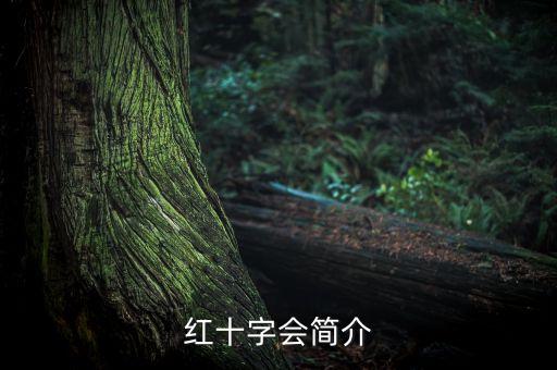 紅十字會(huì)簡介