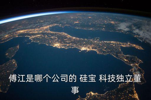傅江是哪個公司的 硅寶 科技獨立董事