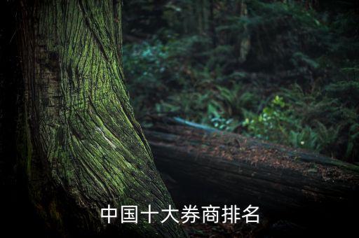 aa證券公司,2022年aa級(jí)證券公司