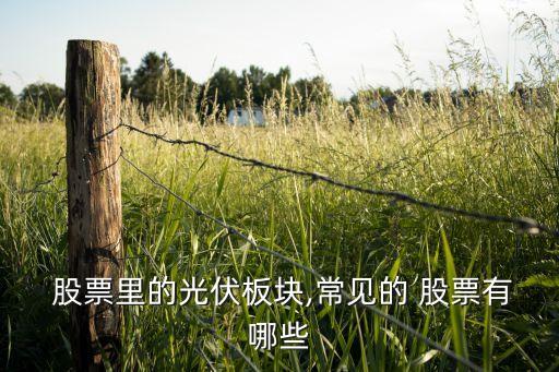  股票里的光伏板塊,常見的 股票有哪些