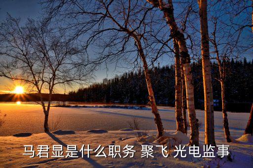 馬君顯是什么職務(wù) 聚飛 光電監(jiān)事