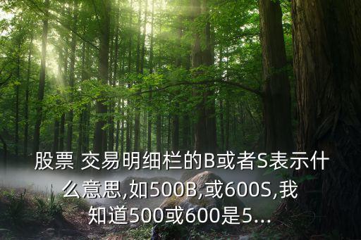  股票 交易明細(xì)欄的B或者S表示什么意思,如500B,或600S,我知道500或600是5...