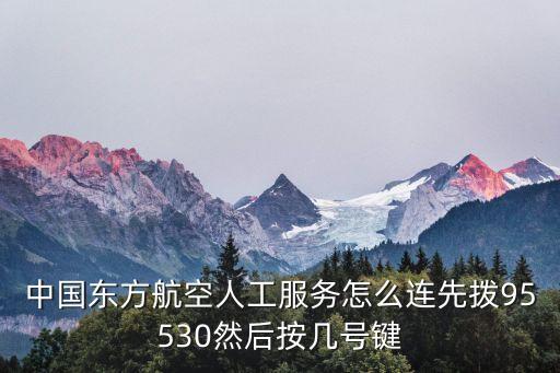 中國(guó)東方航空人工服務(wù)怎么連先撥95530然后按幾號(hào)鍵