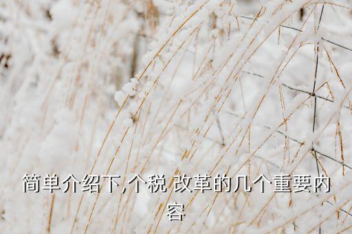 中國稅收改革