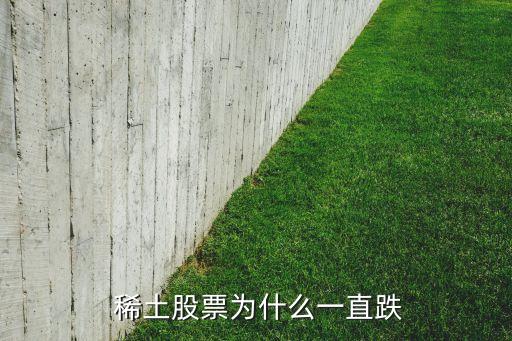  稀土股票為什么一直跌
