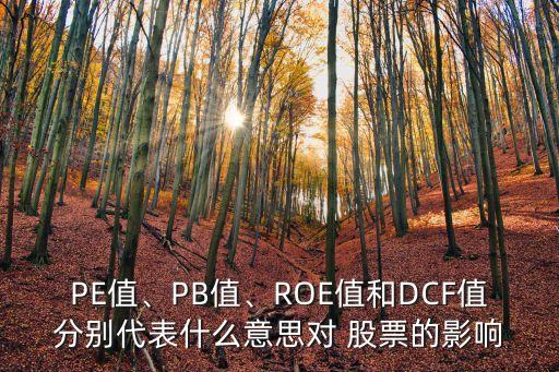 PE值、PB值、ROE值和DCF值分別代表什么意思對(duì) 股票的影響