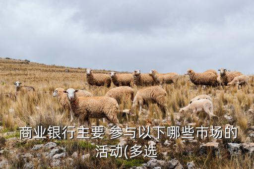  商業(yè)銀行主要 參與以下哪些市場的活動(多選