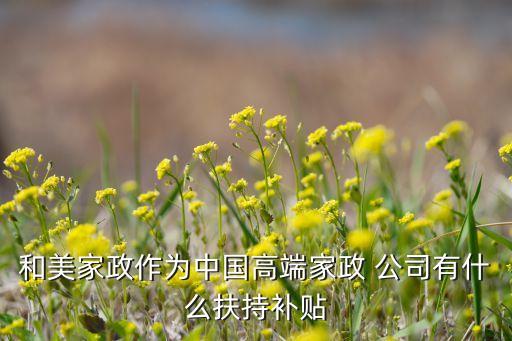 和美家政作為中國(guó)高端家政 公司有什么扶持補(bǔ)貼