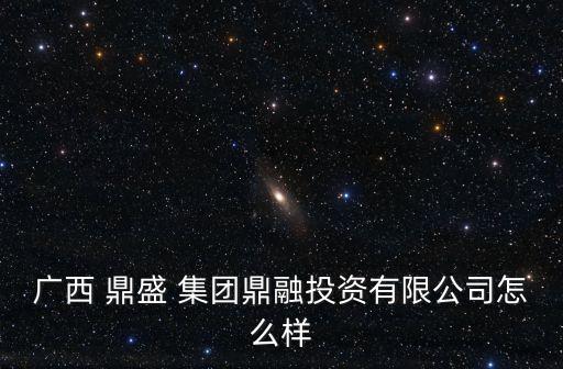 廣西 鼎盛 集團鼎融投資有限公司怎么樣