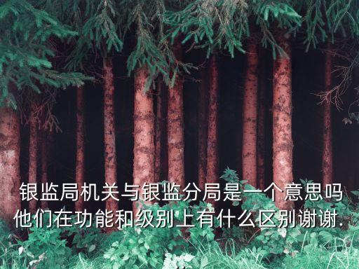  銀監(jiān)局機關(guān)與銀監(jiān)分局是一個意思嗎他們在功能和級別上有什么區(qū)別謝謝...