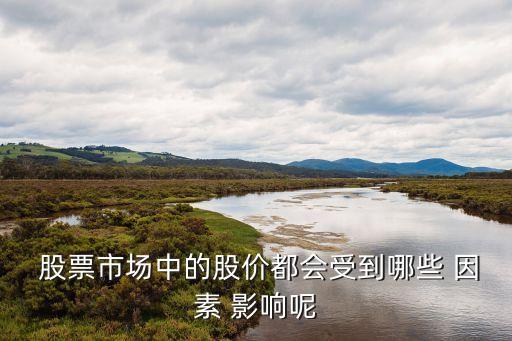  股票市場(chǎng)中的股價(jià)都會(huì)受到哪些 因素 影響呢