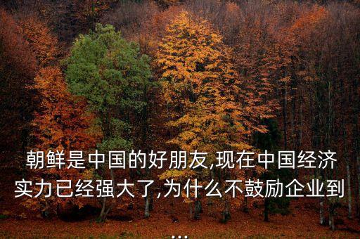 朝鮮是中國的好朋友,現(xiàn)在中國經(jīng)濟實力已經(jīng)強大了,為什么不鼓勵企業(yè)到...