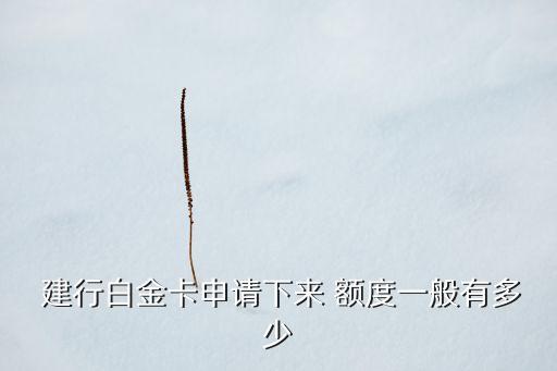 建行銀行批卡額度,建行手機銀行換手機了額度怎么調(diào)整