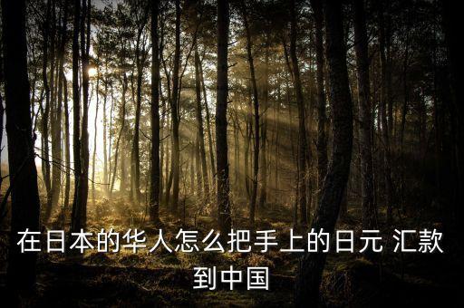 東京中國工商銀行匯款,中國工商銀行境內(nèi)匯款是什么意思