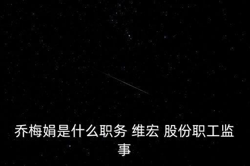 喬梅娟是什么職務(wù) 維宏 股份職工監(jiān)事