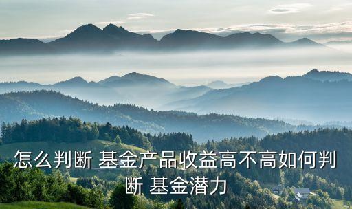 招商豐利混合基金怎么樣